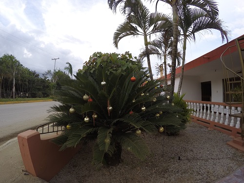 Vánoční strom v Karibiku