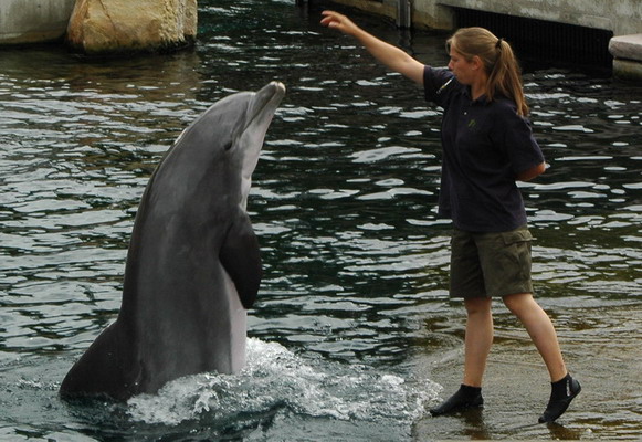 Zoo Nrnberg
